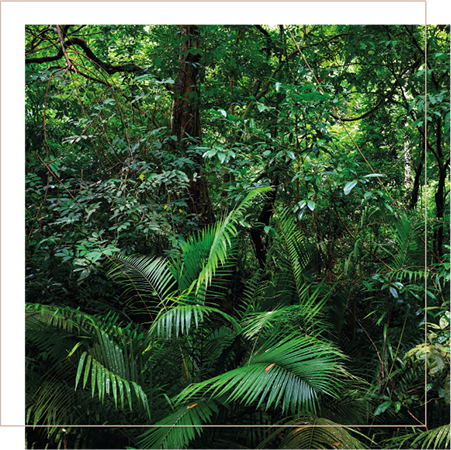 our story Sustainability